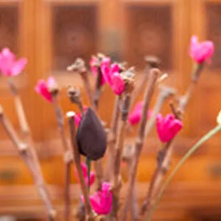 Apartamento Lisboa 리스본